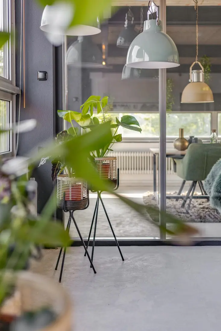 Planten bij de glazen wand van de Loft